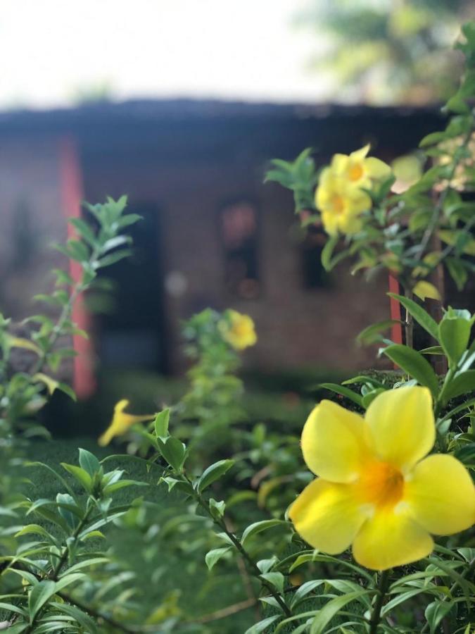 Pousada Do Riacho Barreirinhas Kültér fotó
